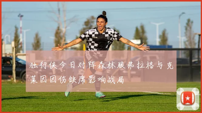 独行侠今日对阵森林狼弗拉格与克莱因因伤缺席影响战局
