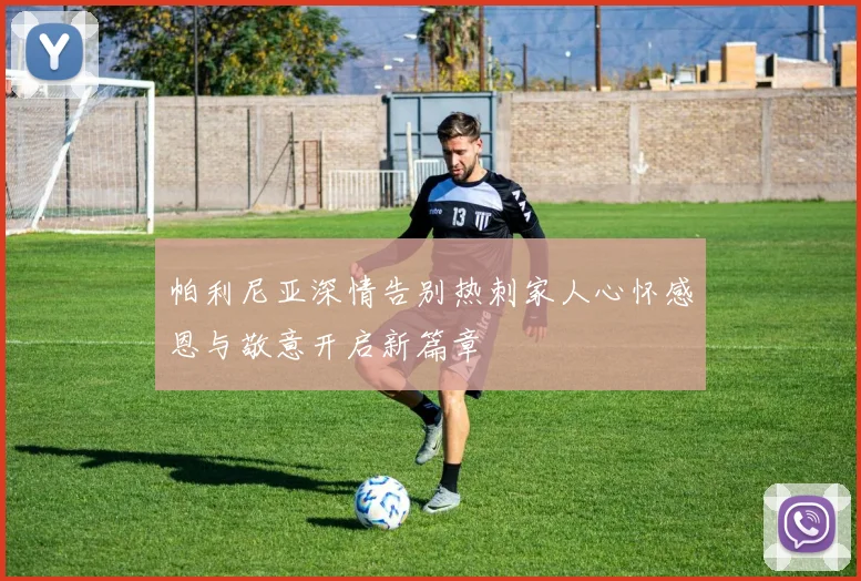 帕利尼亚深情告别热刺家人心怀感恩与敬意开启新篇章