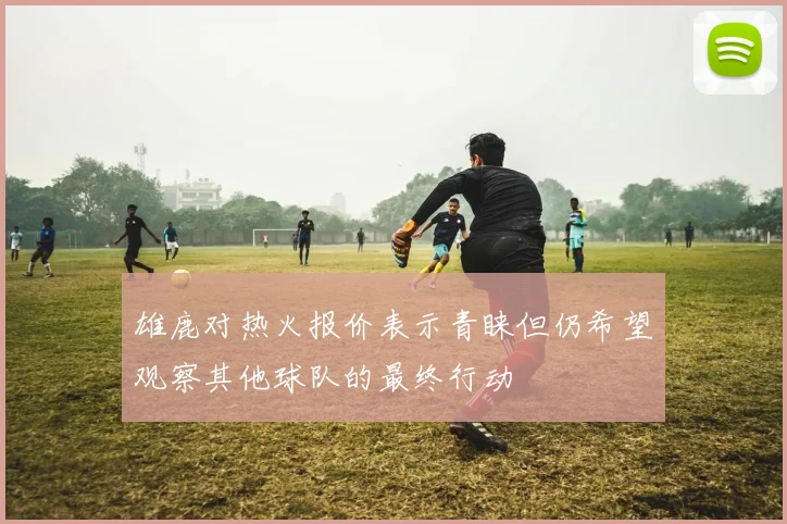 雄鹿对热火报价表示青睐但仍希望观察其他球队的最终行动