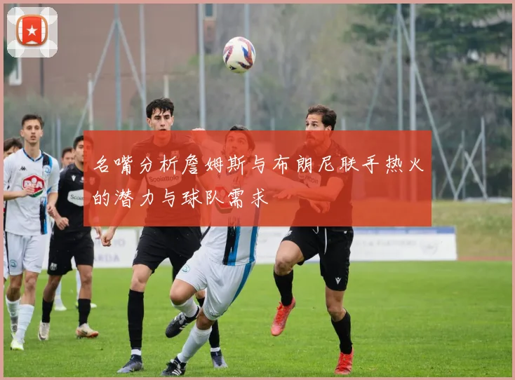 名嘴分析詹姆斯与布朗尼联手热火的潜力与球队需求