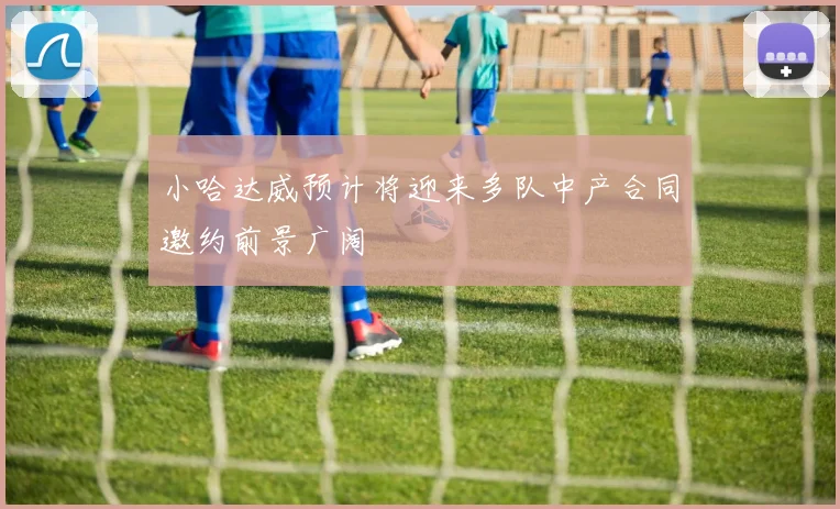 小哈达威预计将迎来多队中产合同邀约前景广阔